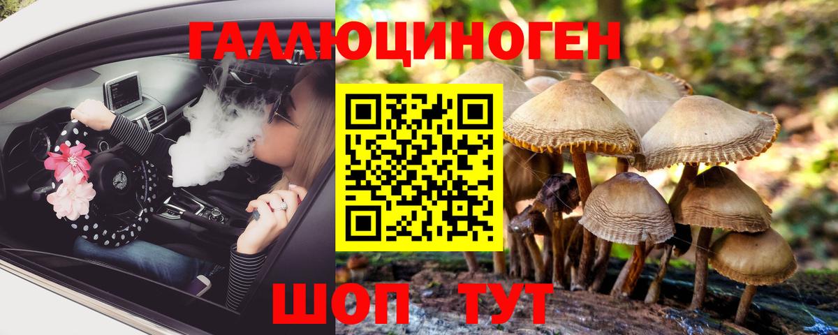 Псилоцибиновые грибы Psilocybine cubensis  Вход с VPN  Чебоксары  Галлюциногенные грибы Psilocybine cubensis 